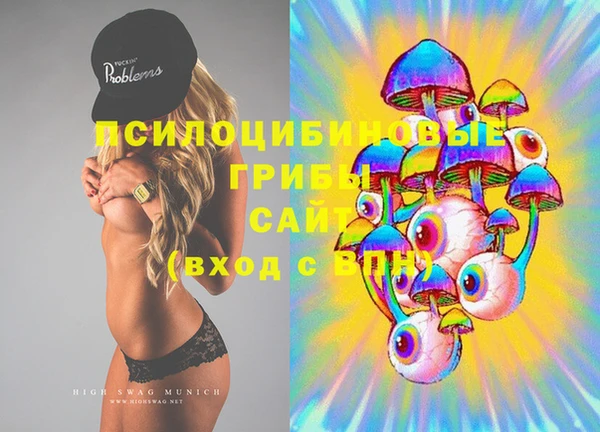 прущие крисы Вяземский
