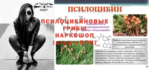 соль ск Волосово