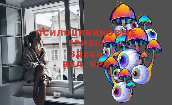 соль ск Волосово